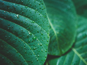 Malta's economy is embracing sustainability