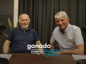 Voluntary organisations