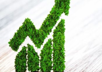 What are green bonds