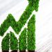 What are green bonds