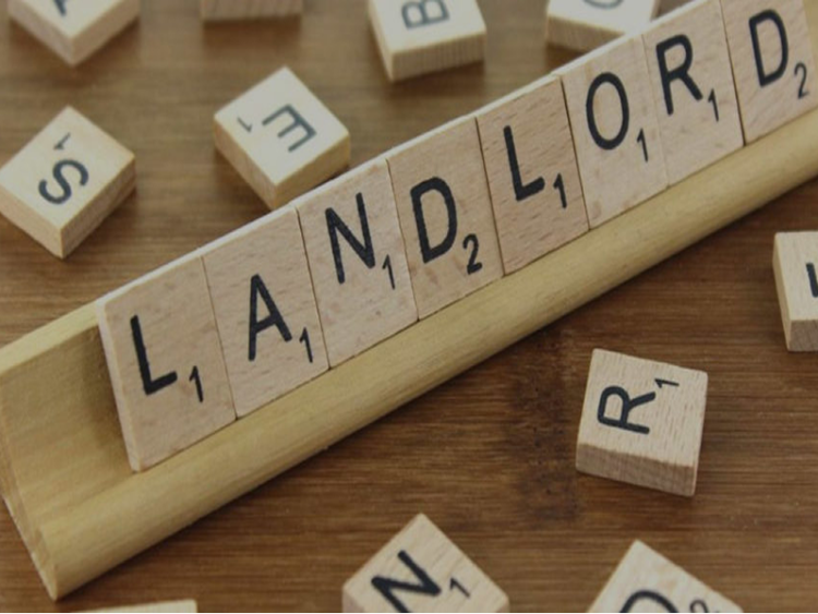 Renting as a Housing Alternative White Paper