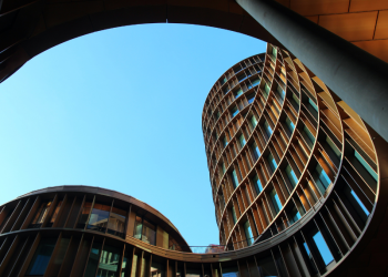 protection to the doctrine of legal professional