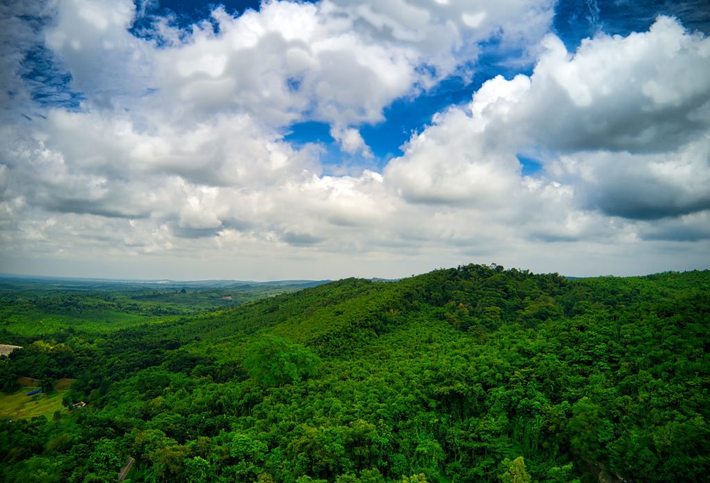 European Green Bond Standard