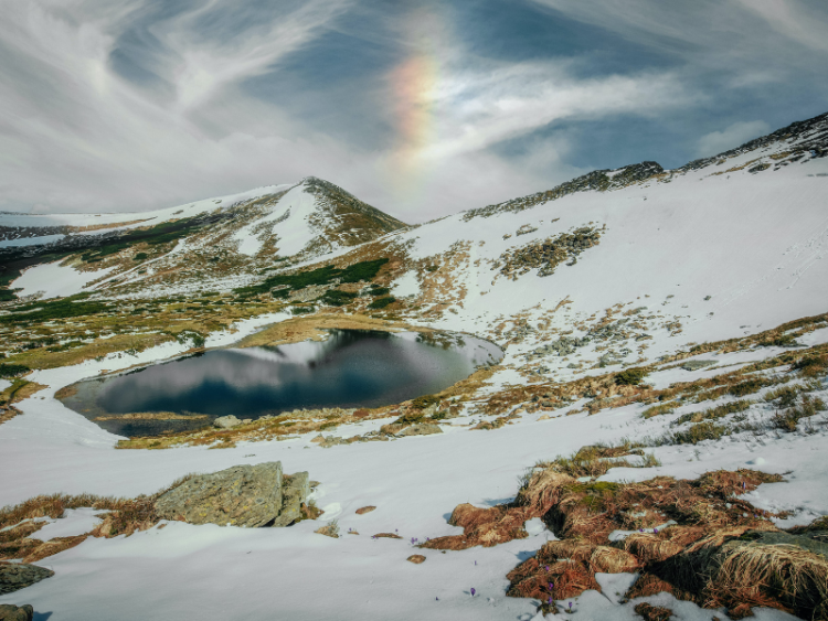 Navigating Maltese Rent Laws