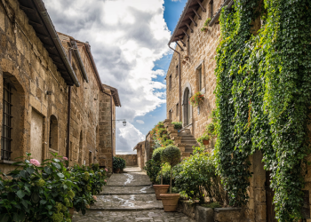 Breach of Fiduciary Obligations