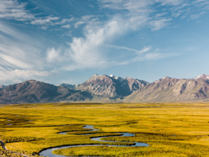 Insurtech and PCCs: Transforming insurance in Malta