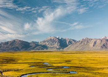 Insurtech and PCCs: Transforming insurance in Malta