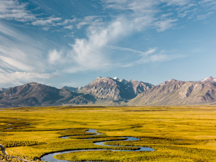 Insurtech and PCCs: Transforming insurance in Malta