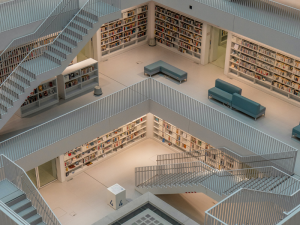 Corporate Governance Manual for Directors