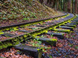 Navigating Change: Examining Proposed Amendments to the Condominium Act