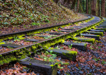 Navigating Change: Examining Proposed Amendments to the Condominium Act