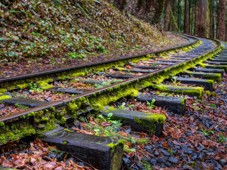 Navigating Change: Examining Proposed Amendments to the Condominium Act