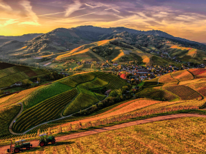 Possession versus Tolerance