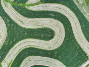 Adjustment to the size criteria for various sizes of companies