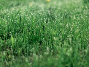 Malta's 2023 National Risk Assessment