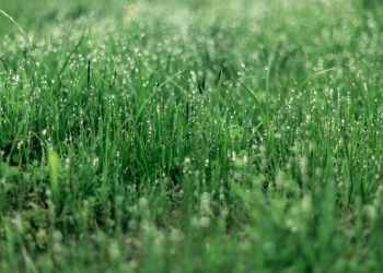 Malta's 2023 National Risk Assessment