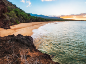 Shipping emissions reporting: The way forward