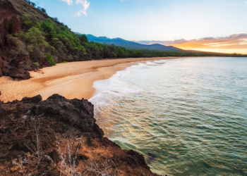 Shipping emissions reporting: The way forward