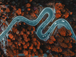 Belgian Excess Profits Tax Scheme