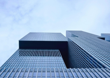 Insurance Market: stability and innovation