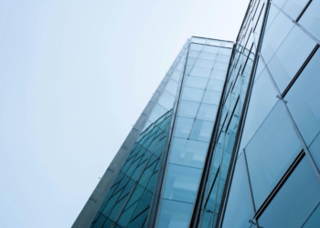 court-appointed provisional administrator