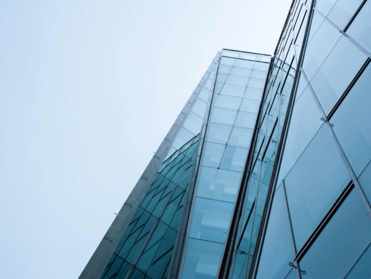 court-appointed provisional administrator