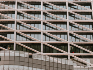 Public Procurement