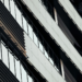 annual financial reports