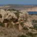 Malta-Gozo Interconnection Project Consultation for Strategic Malta-Gozo Interconnection Project