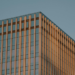 merger control framework