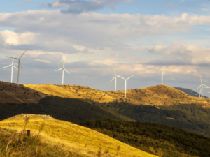Renewable Energy