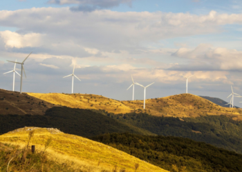 Renewable Energy