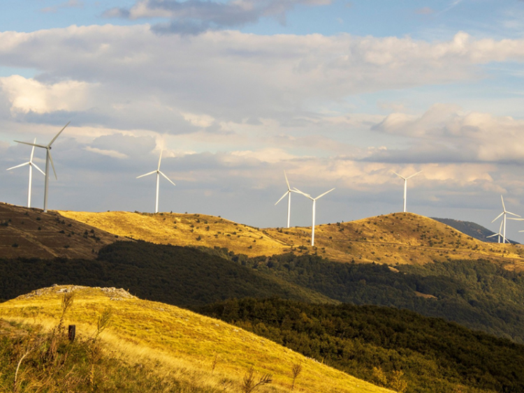 Renewable Energy