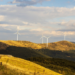Renewable Energy