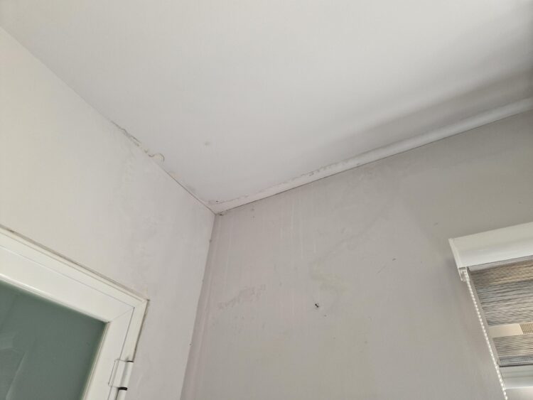 Damage to Property -Property Law Malta